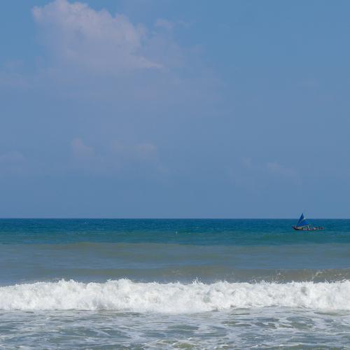 Photo #3591446