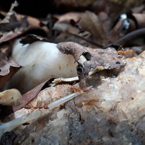 Photo #3591549