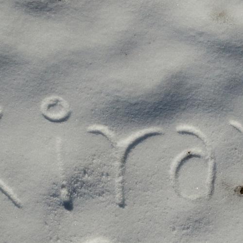 Photo #3591804