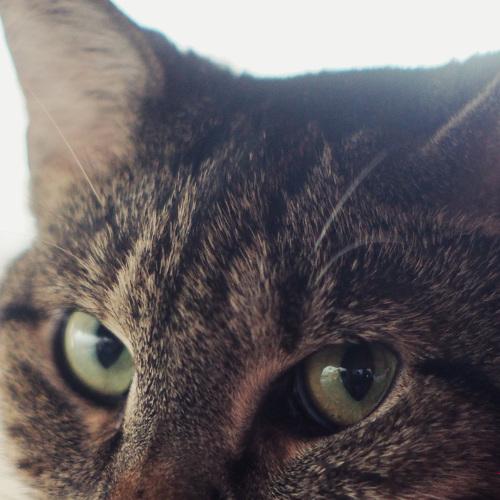 Photo #3591965