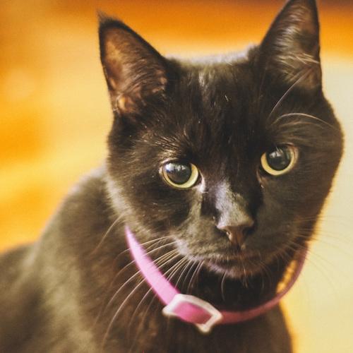 Photo #3591976