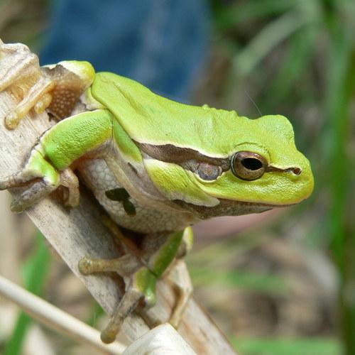 Photo #3592198