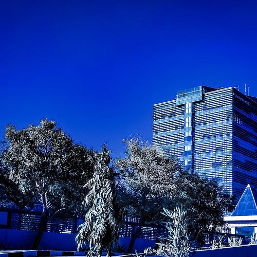 Blue Building