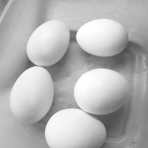 Photo #3592479