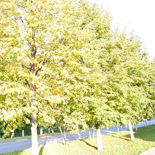 Photo #3592623