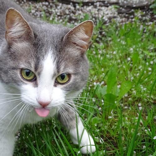 Photo #3592704