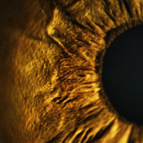 EYE PUPIL AND IRIS