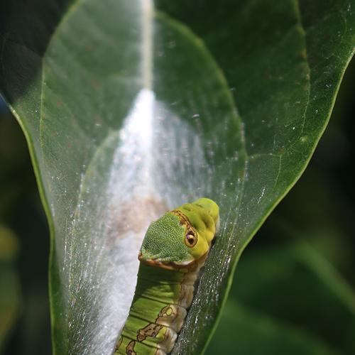 Photo #3593311