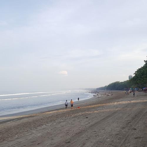Photo #3593766