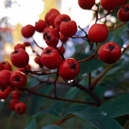 Photo #3593808