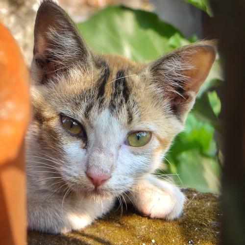 Photo #3593951