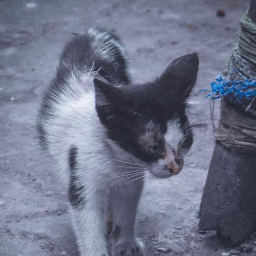 Photo #3593962
