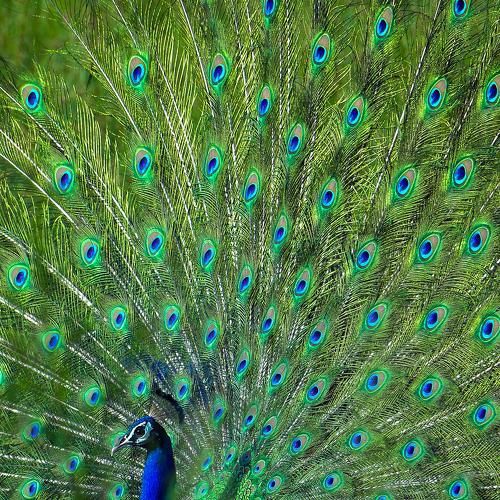 Photo #3594073