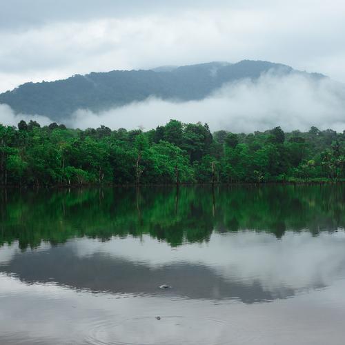 Photo #3594082