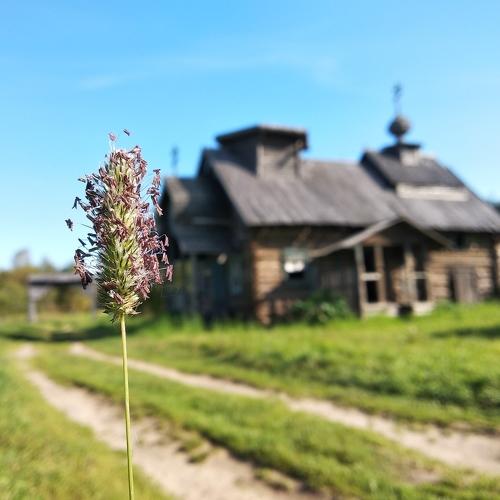 Photo #3594139