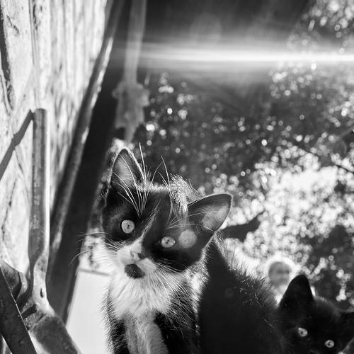 Photo #3594151