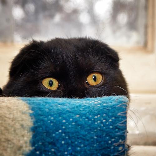 Photo #3594153