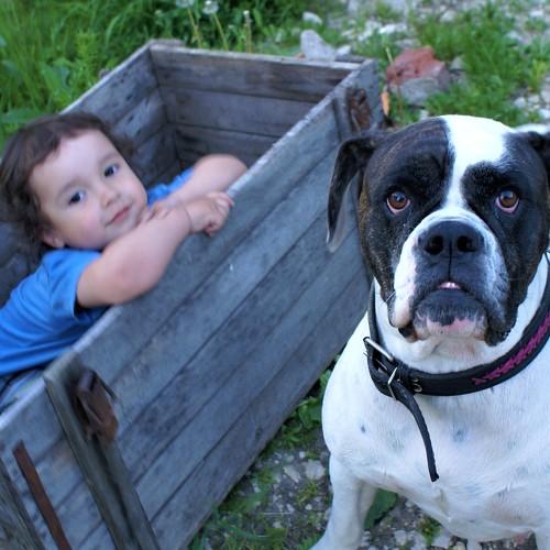 Photo #3594196