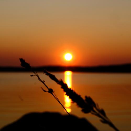 Photo #3594407