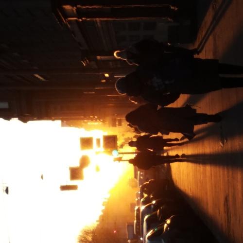 Photo #3594515