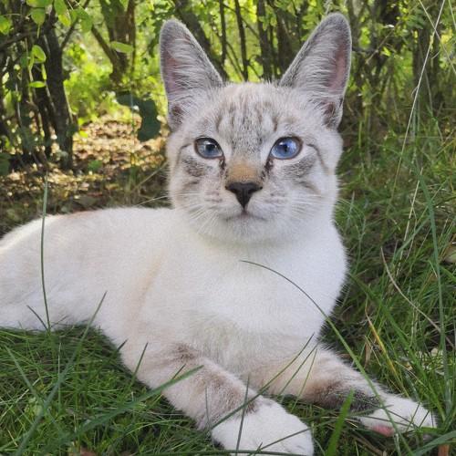 Photo #3594672