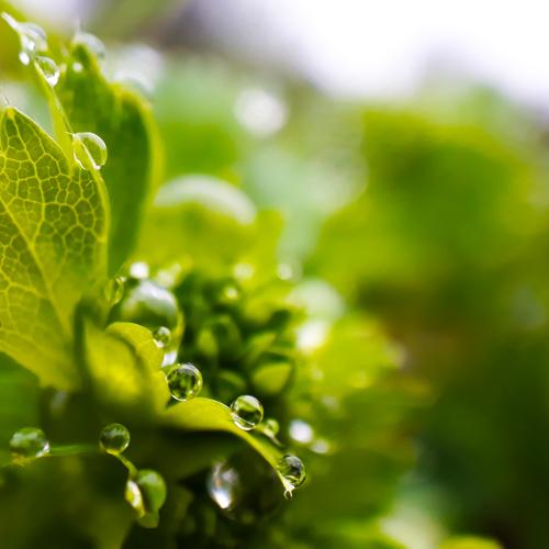 Photo #3594765