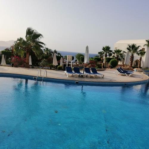 Photo #3594858