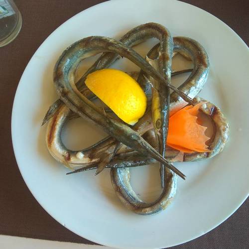 Photo #3594867