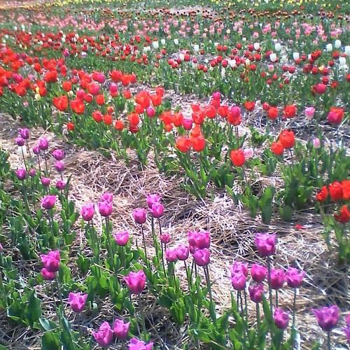 Photo #3594900
