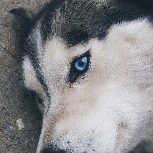 Photo #3595146