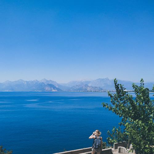 Photo #3595150