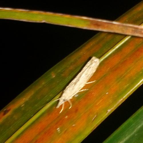Photo #3595804
