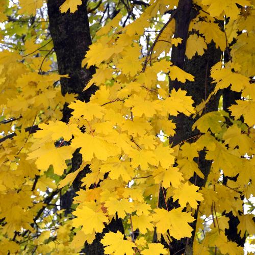 Photo #3595892