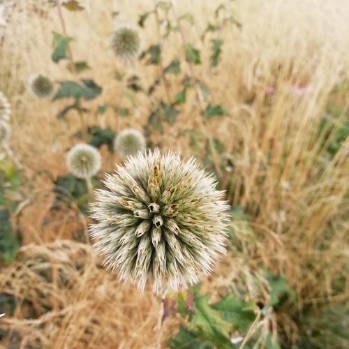 Photo #3596142