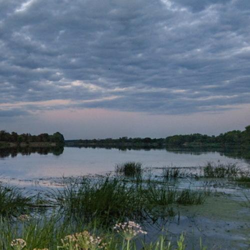 Photo #3596352