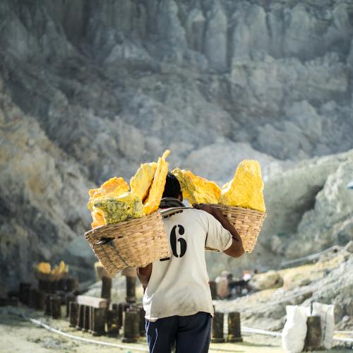 Photo #3596354