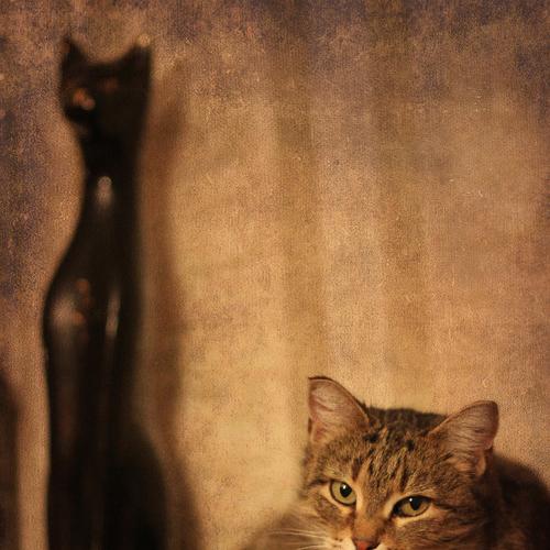 Photo #3596382