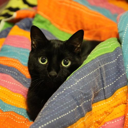 Photo #3596568