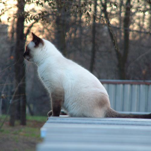 Photo #3596660