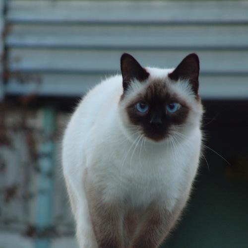 Photo #3596661