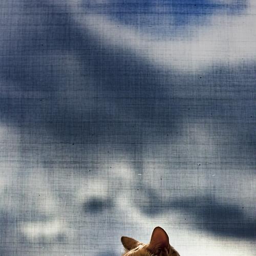 Photo #3596666
