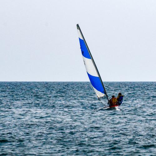 Photo #3596683