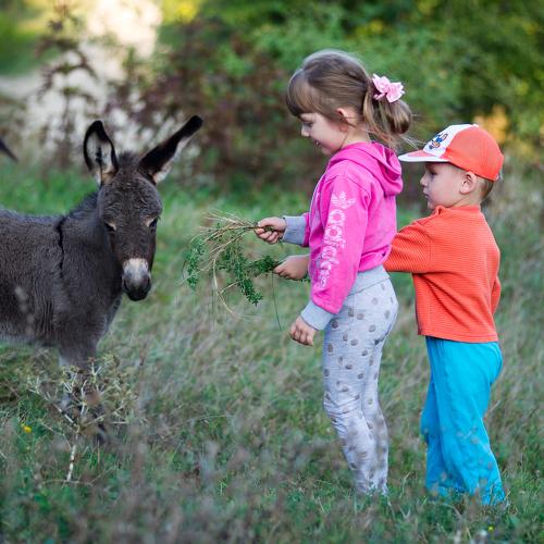 Photo #3596774