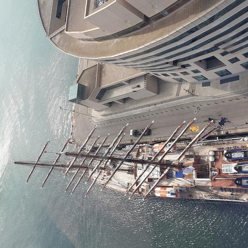 Photo #3596826