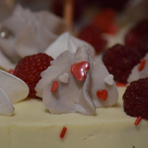 Photo #3596830