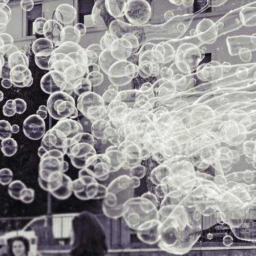 Photo #3596886