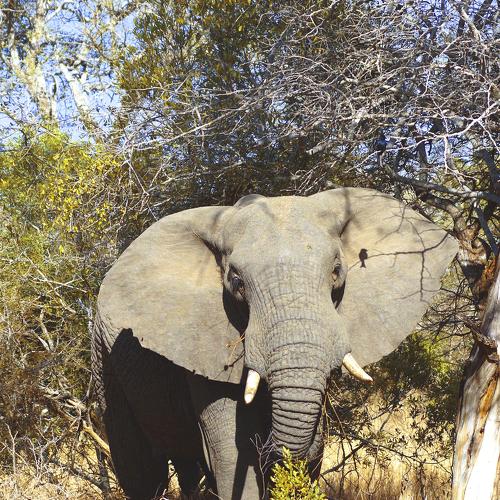 Photo #3596898