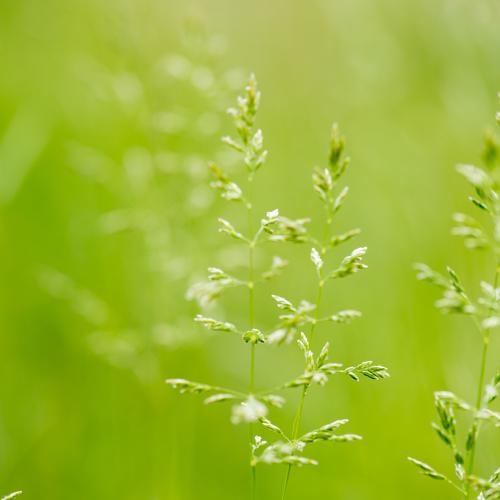 Photo #3596930