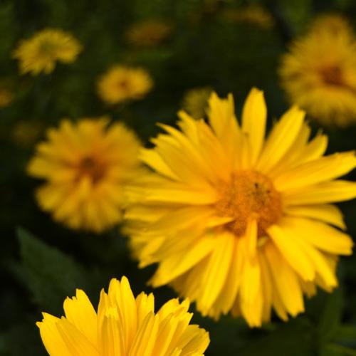 Photo #3596938
