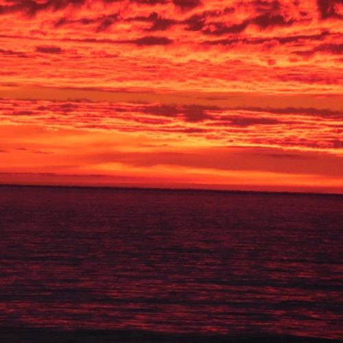 Photo #3597318